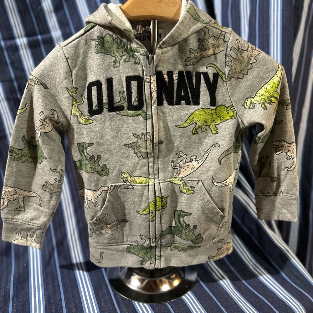 Old Navy Kids Hoodie with Dinosaur Print - Gray and Green